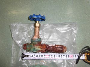 CIMG1590