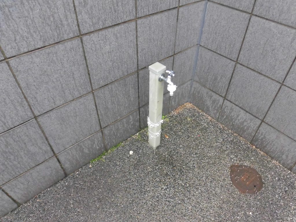 CIMG0035