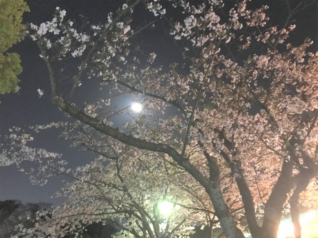 Image_c3dc02d