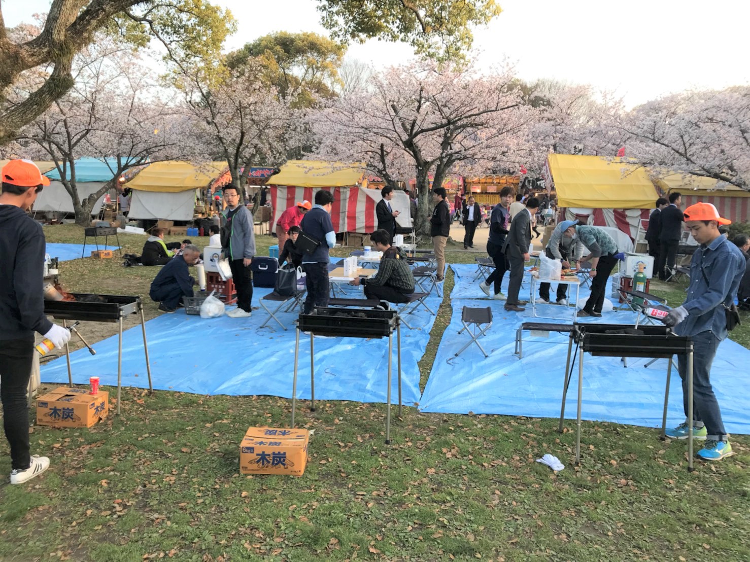 お花見しました ＼(^o^)／